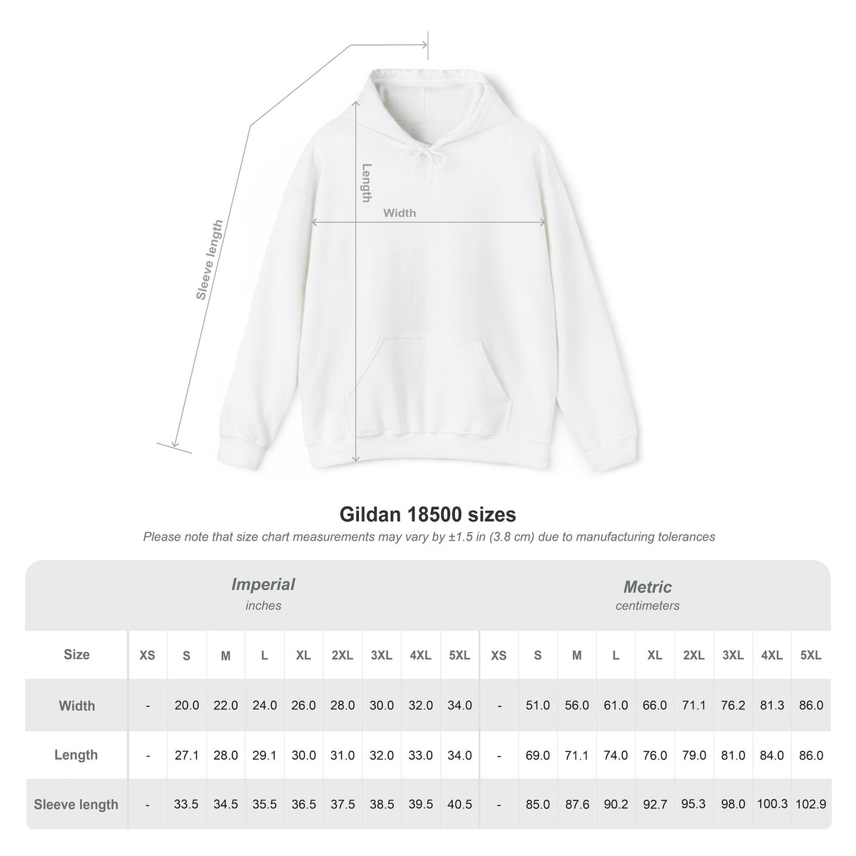 Celestial Disc | Print on Back Hoodie
