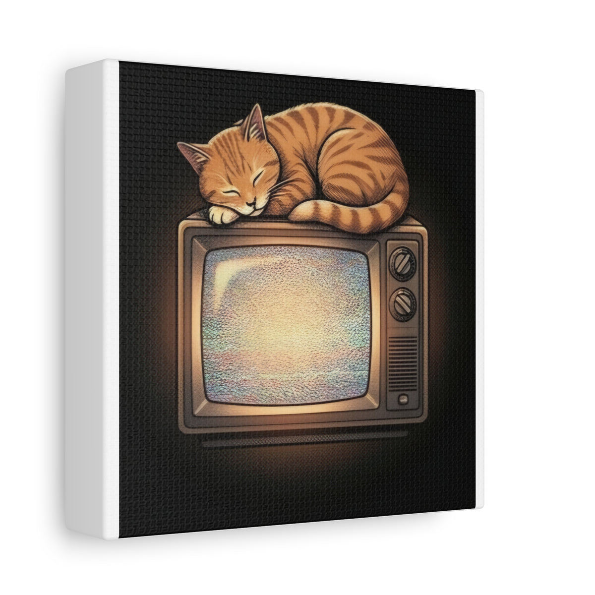 CRT TV Cat | Matte Canvas